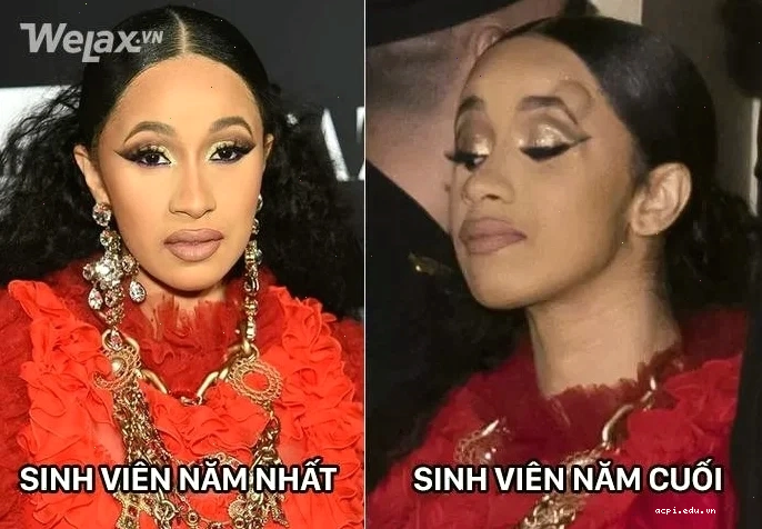 meme ấm ức chó pug