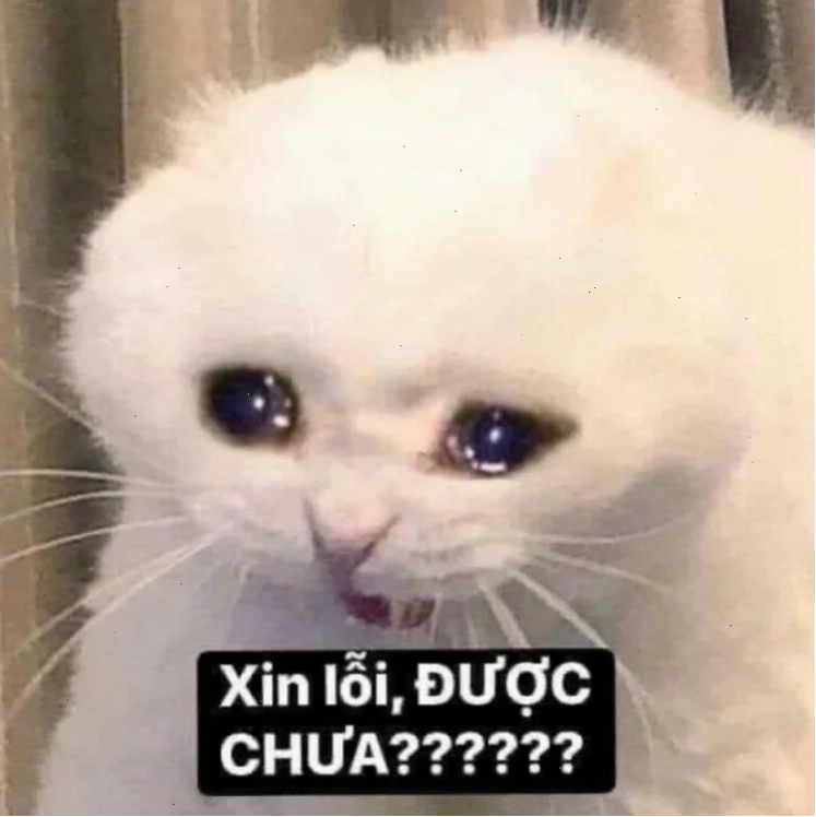 meme ấm ức chuột ham