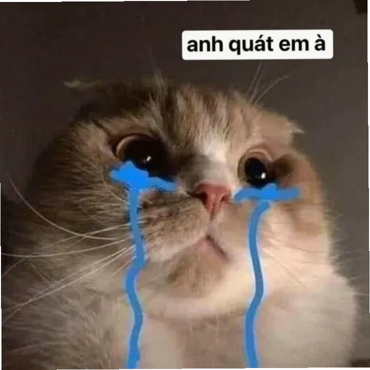 meme ấm ức cún cưng