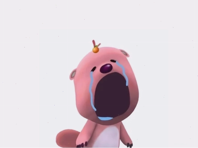 meme ấm ức heo con