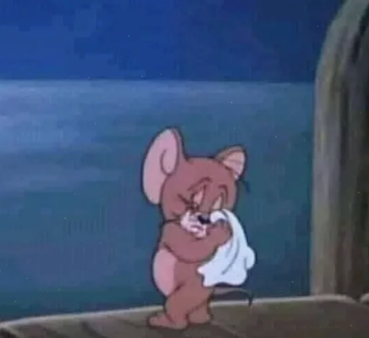 meme ấm ức khỉ con