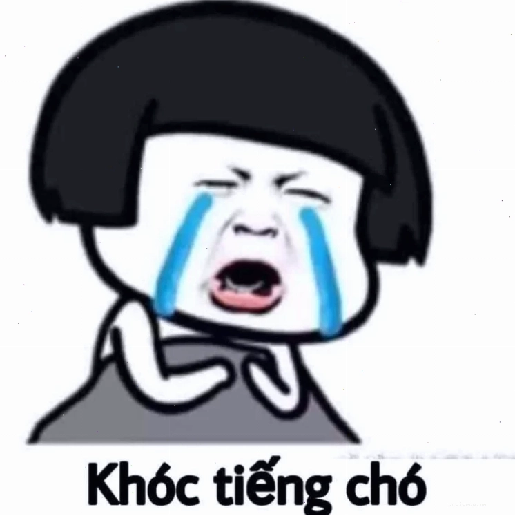 meme ấm ức mèo cam