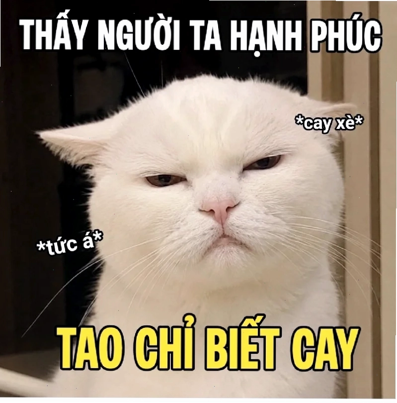 meme ấm ức sóc con