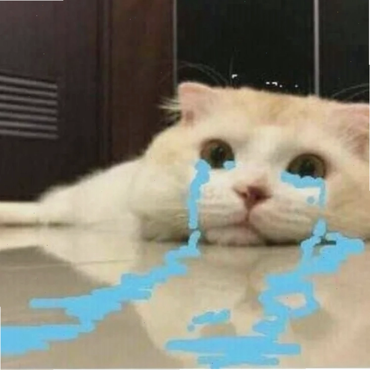 meme ấm ức thỏ trắng