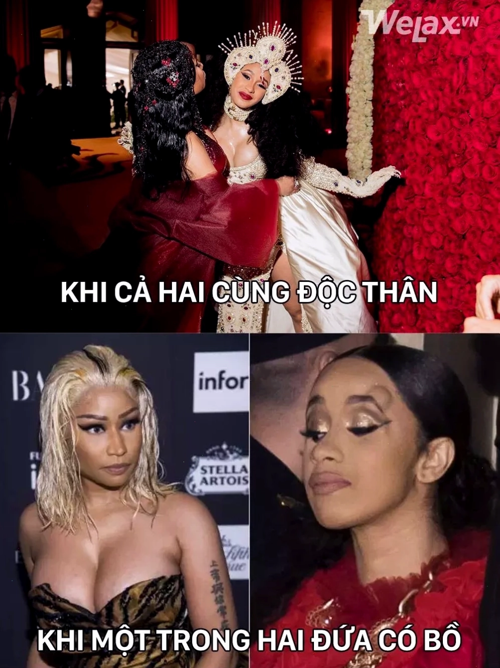 meme ấm ức vẹt xanh