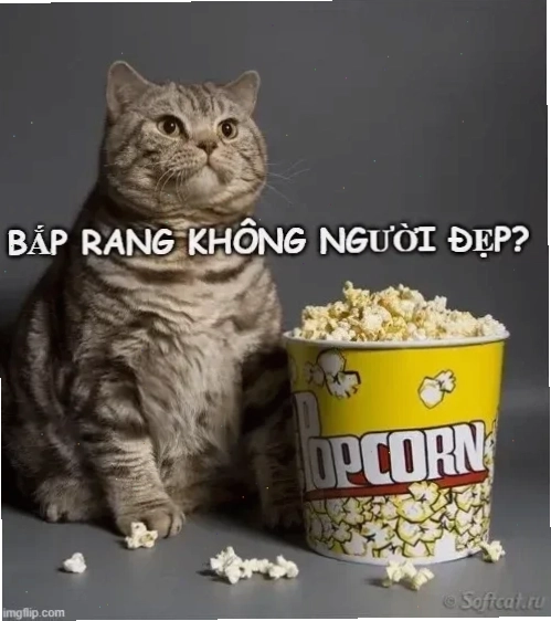 meme ăn bắp rang