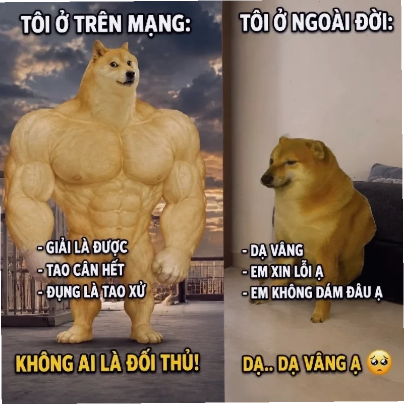 meme ăn bắp rang