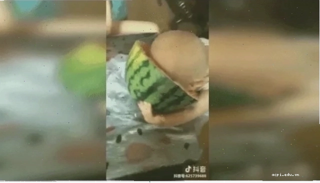 meme ăn dưa hấu đáng yêu