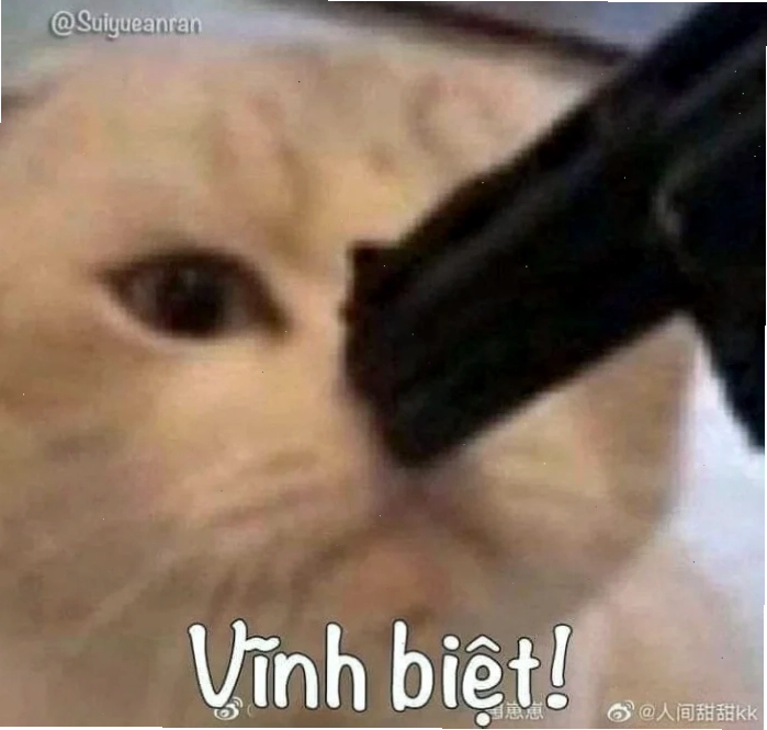 Meme ấn tượng