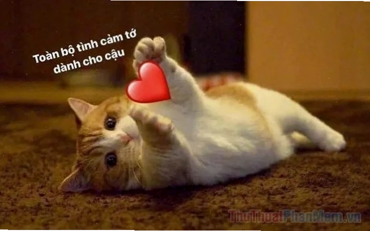 meme an ủi