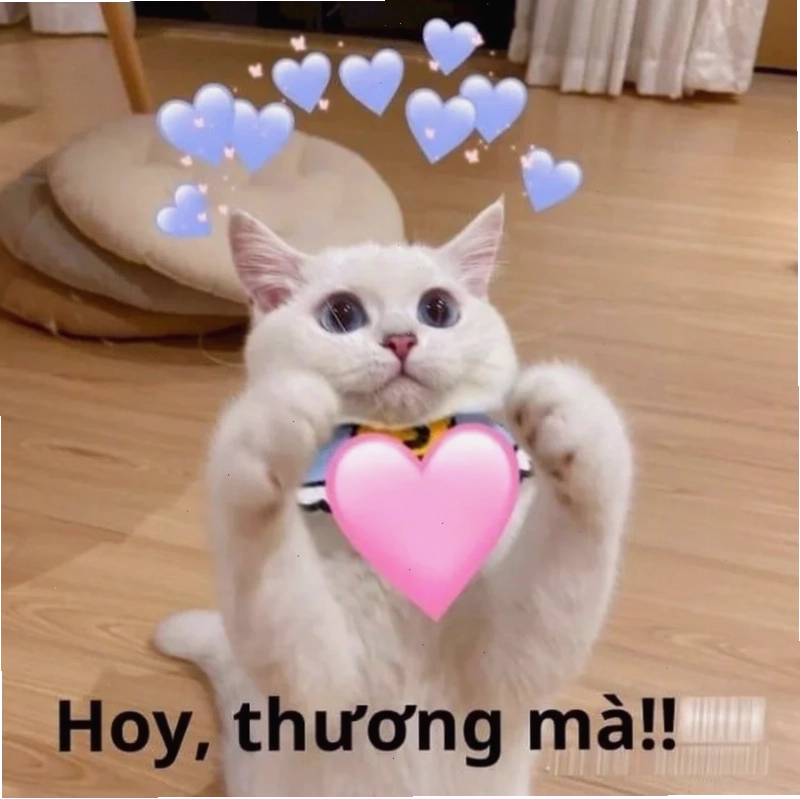 meme an ủi