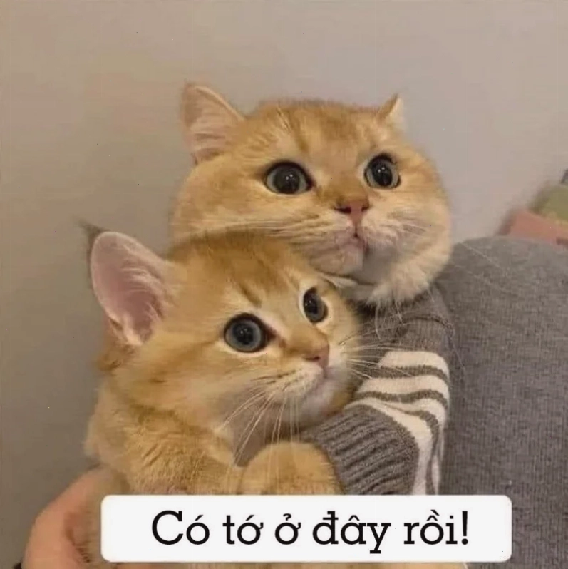 meme an ủi