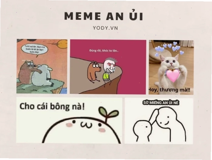 meme an ủi