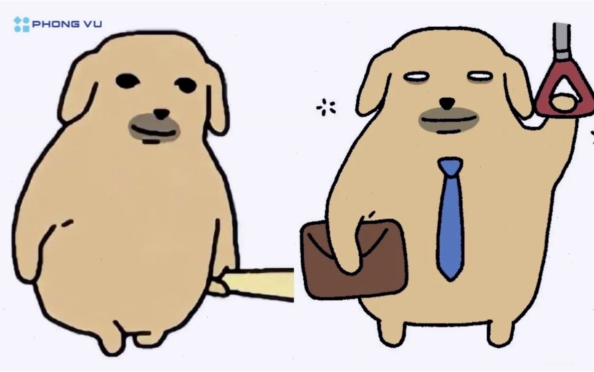meme ảnh chó hài