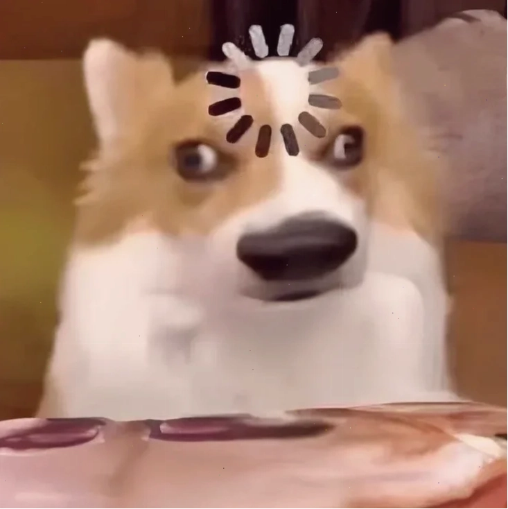 meme ảnh chó hài