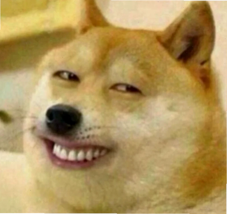 meme ảnh chó hài