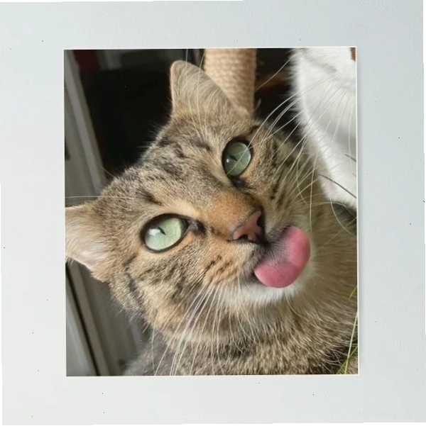 meme ánh mắt thèm thuồng