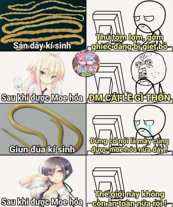 meme anime chế