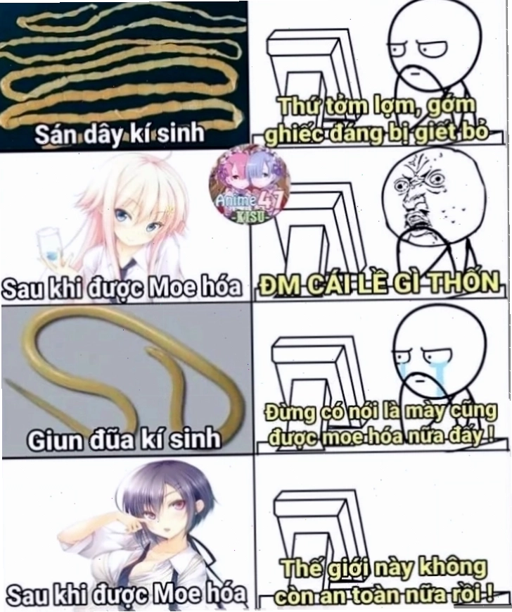 meme anime chế