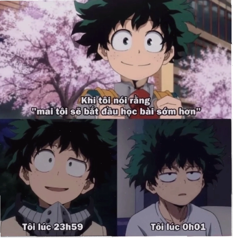 meme anime chế