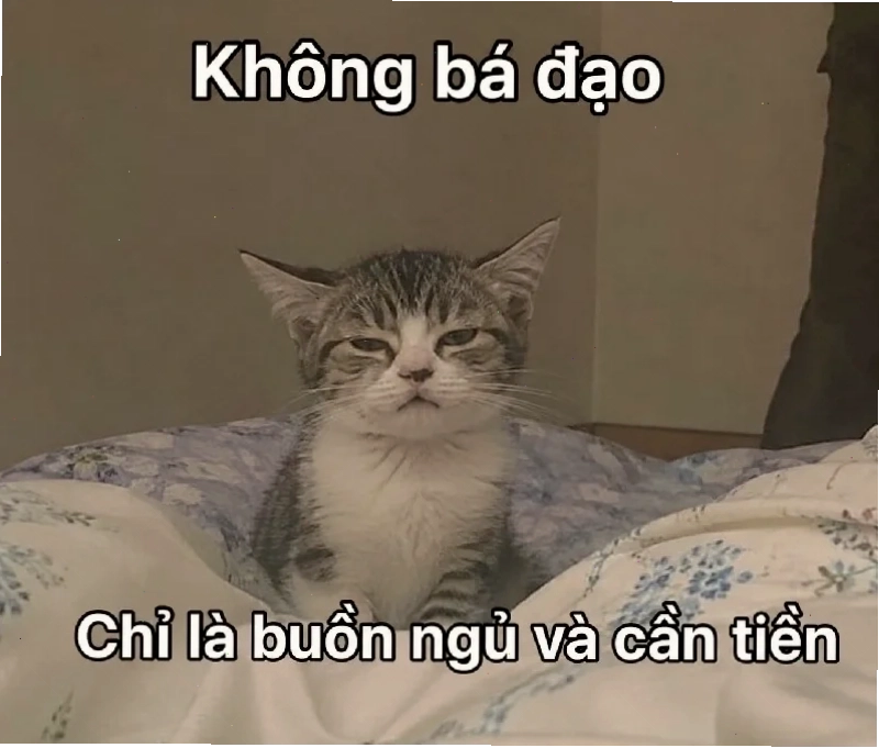 Meme ảo thật đấy cực chất