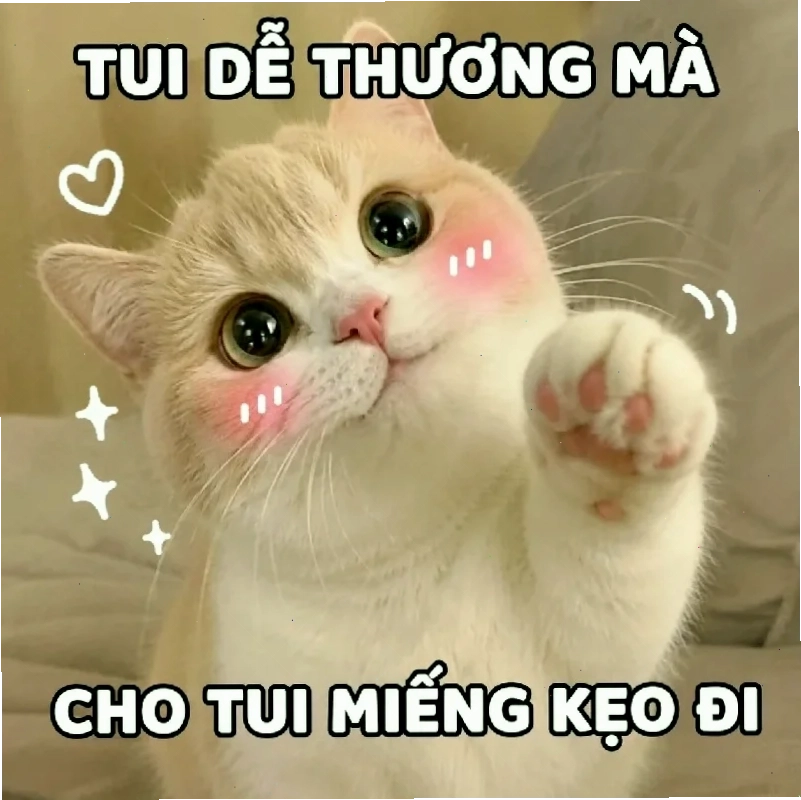 meme ảo tưởng bựa