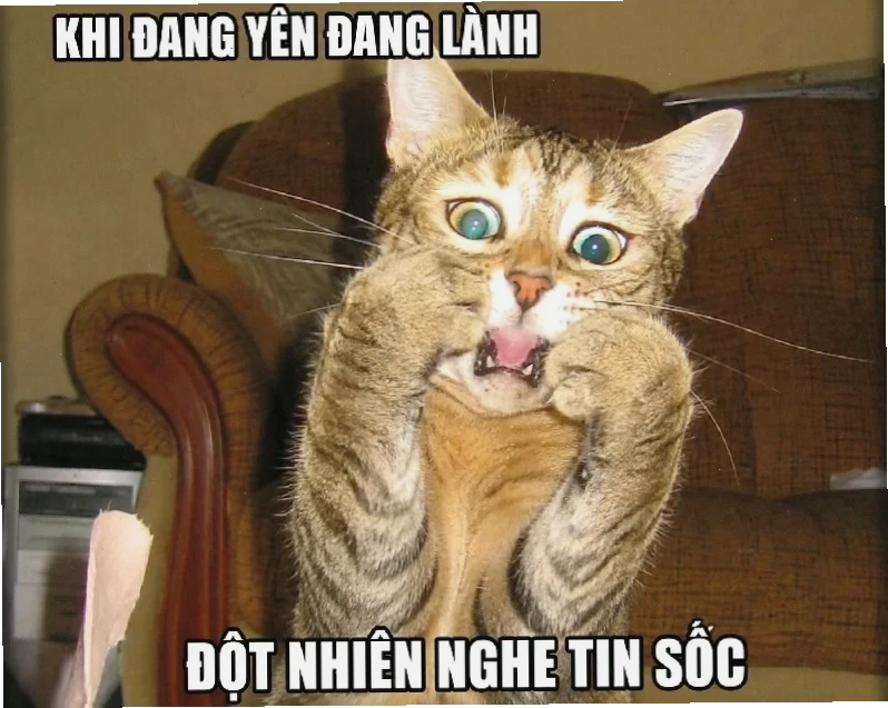 meme ảo tưởng cười ra nước mắt