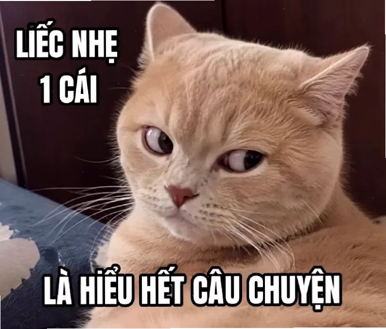 meme ảo tưởng hay