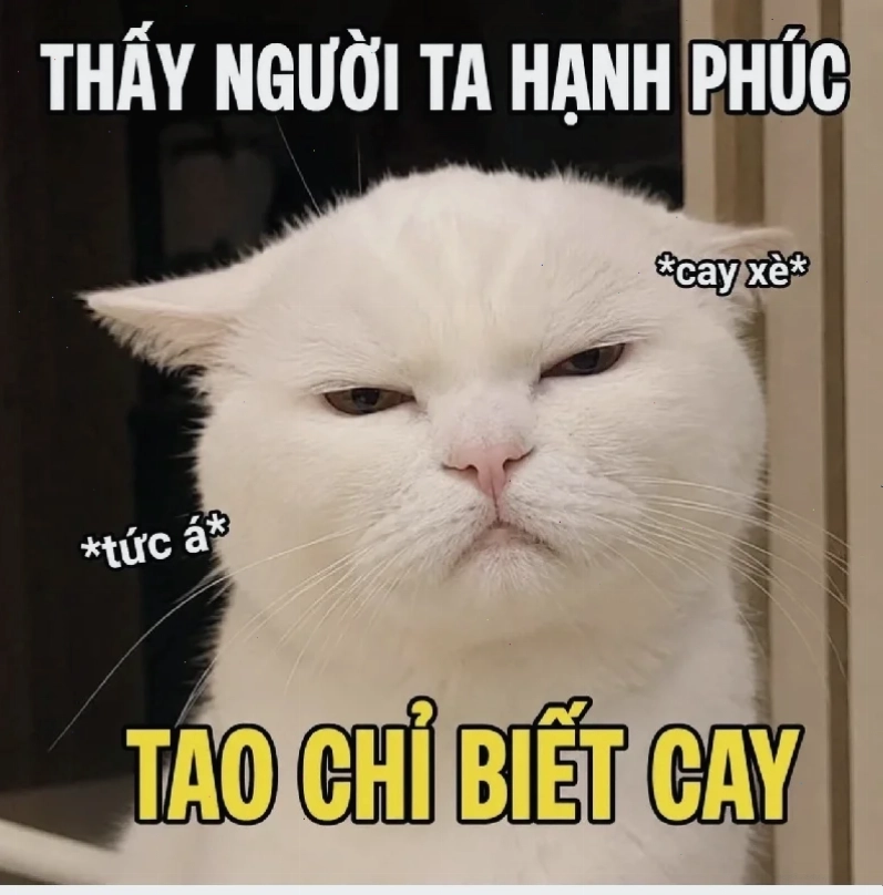 meme ảo tưởng hay nhất