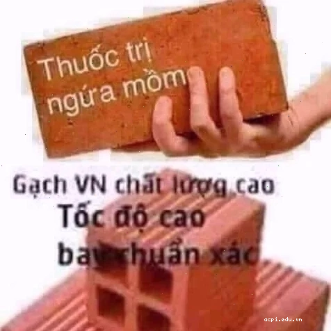 meme ảo tưởng thú vị nhất