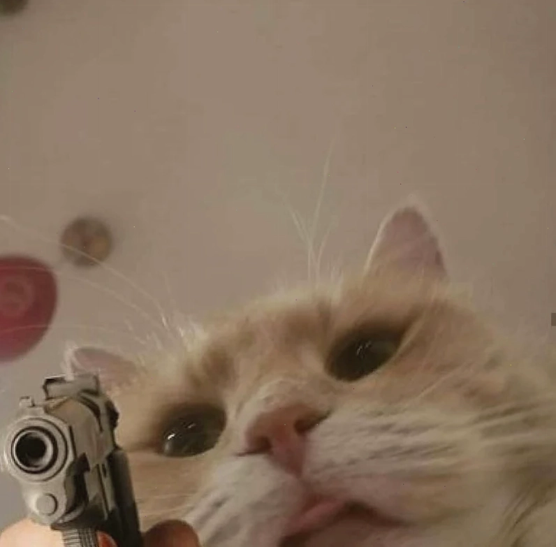 meme bắn súng buồn cười meme bắn súng buồn cười
