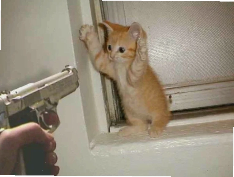 meme bắn súng cool ngầu meme bắn súng cool ngầu