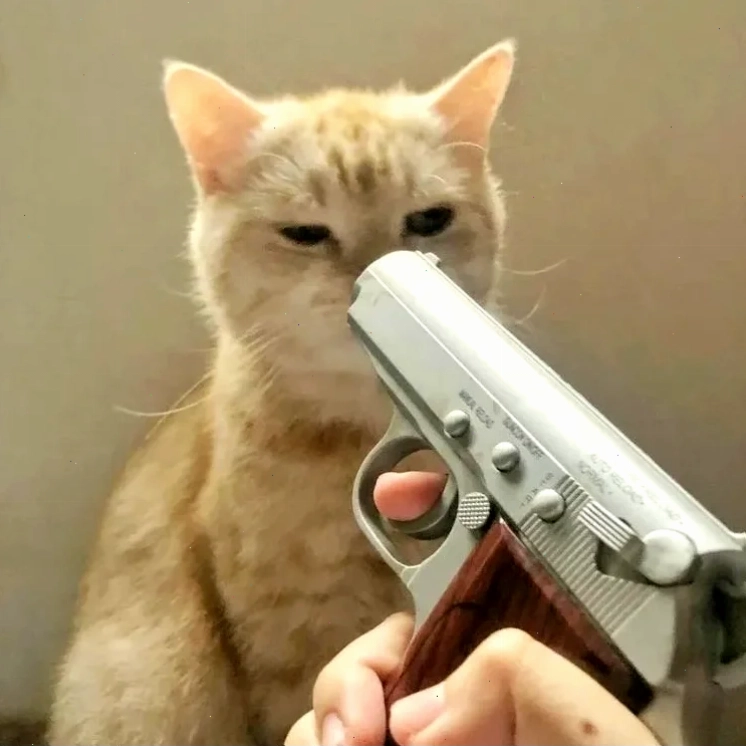 meme bắn súng cute meme bắn súng cute