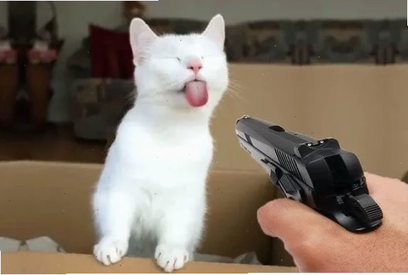 meme bắn súng độc lạ meme bắn súng độc lạ