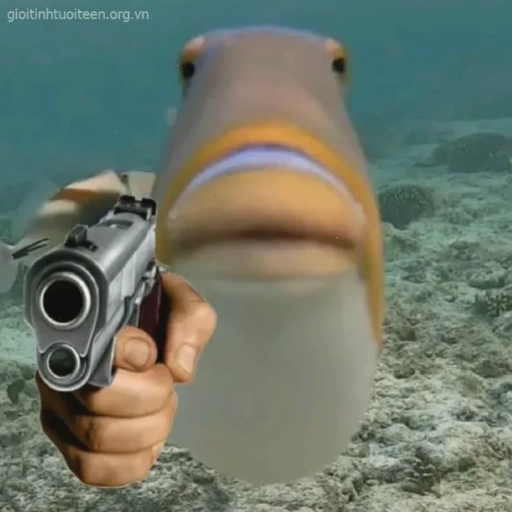 meme bắn súng hoạt hình meme bắn súng hoạt hình