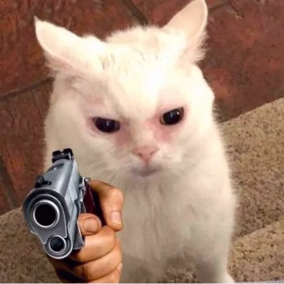 meme bắn súng lửa meme bắn súng lửa