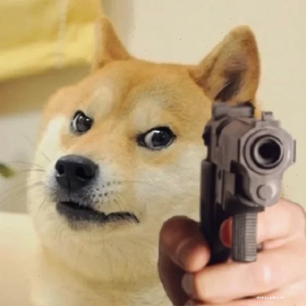 meme bắn súng nước meme bắn súng nước