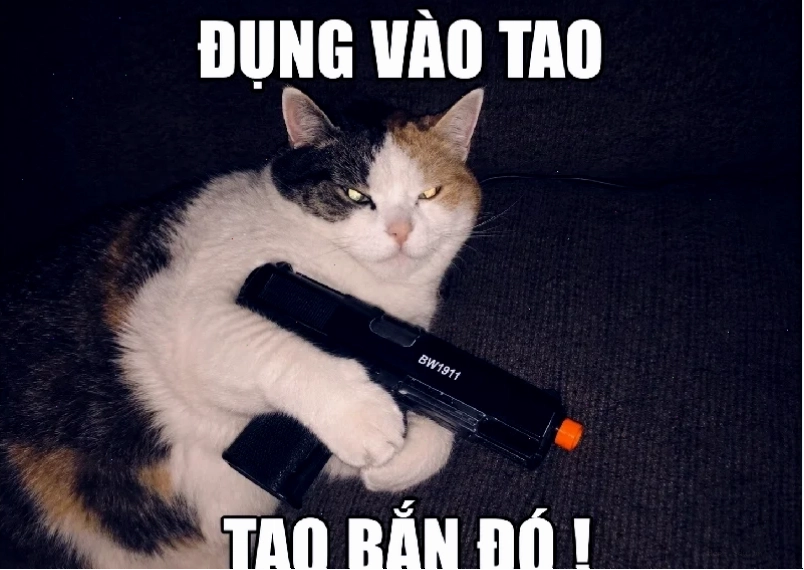 meme bắn súng troll meme bắn súng troll