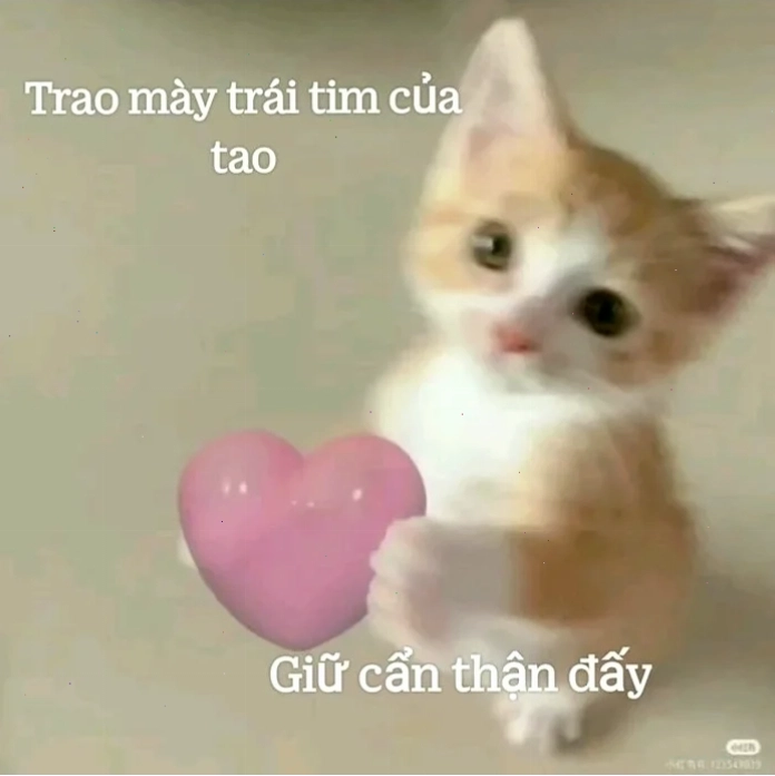 meme bắn tim