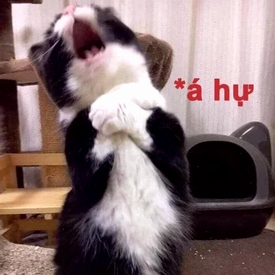 meme bắn tim