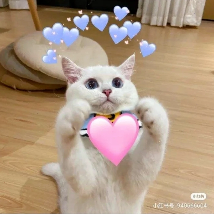 meme bắn tim