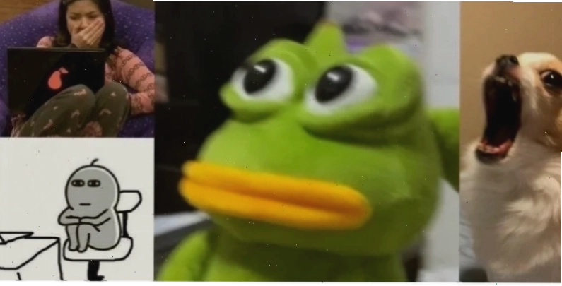 Meme bất ngờ