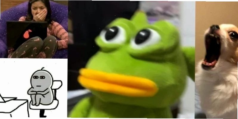 Meme bất ngờ