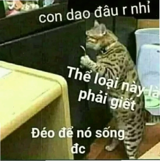 Meme biểu cảm hoang mang