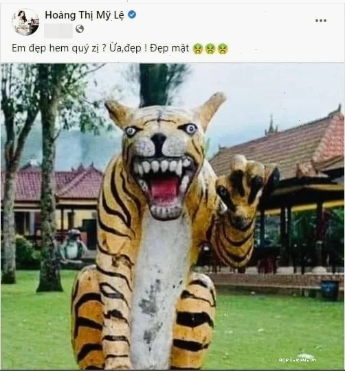meme bình dương