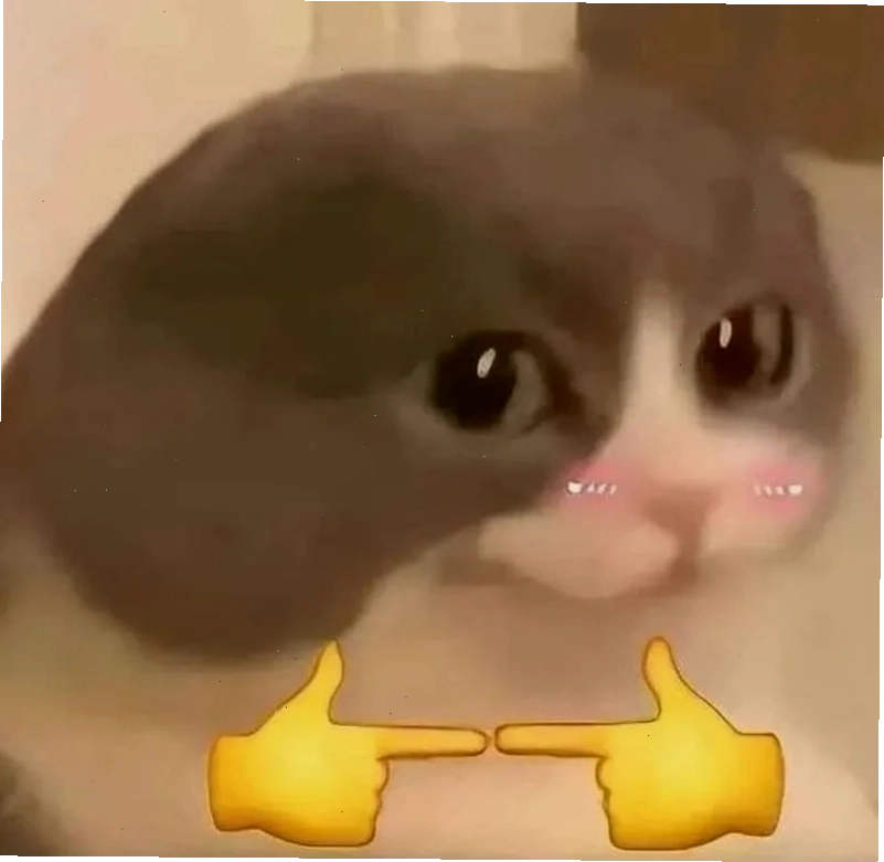 meme bối rối khi thấy mình trong đó