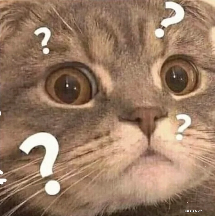 Meme bựa