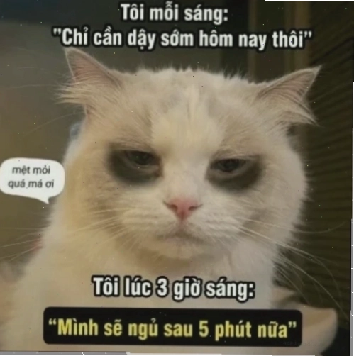 Meme buồn cười