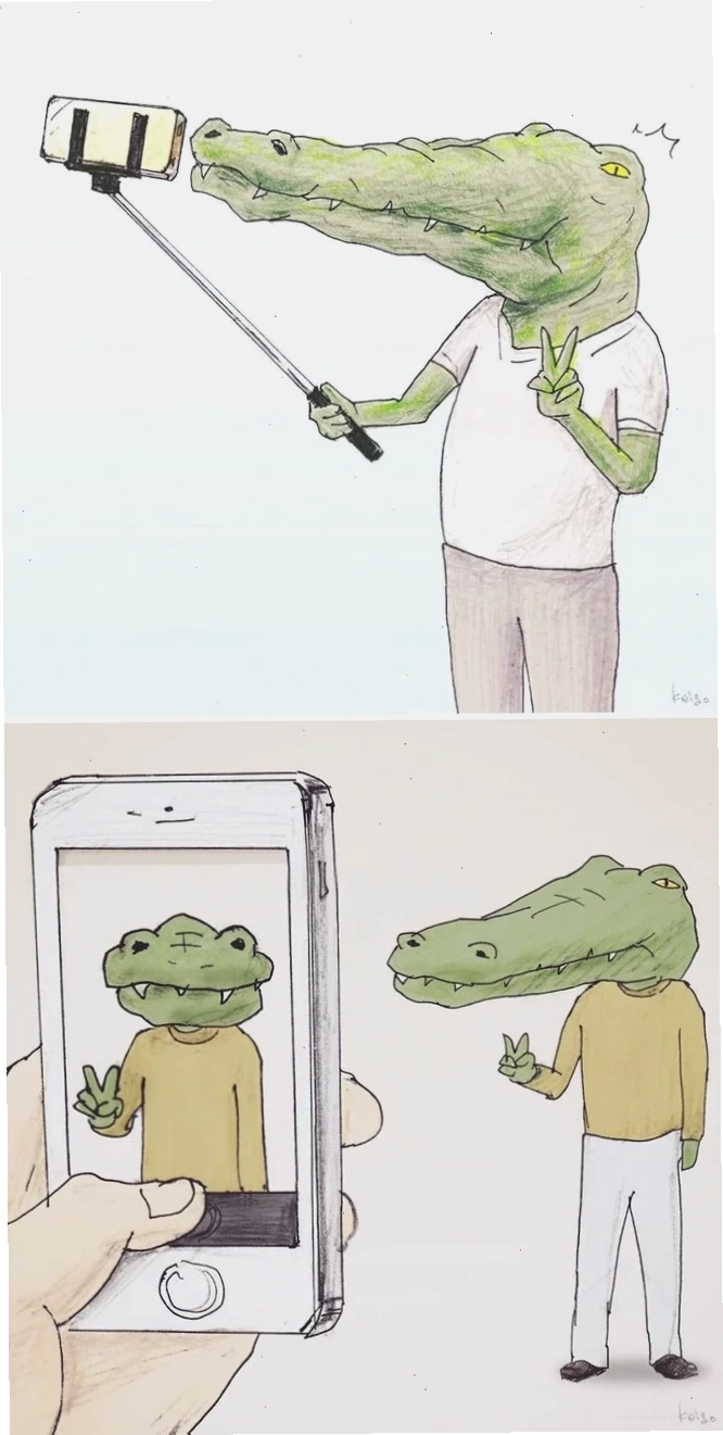 meme cá sấu