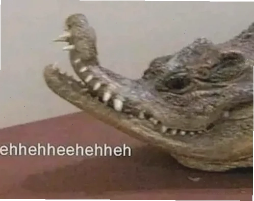 meme cá sấu